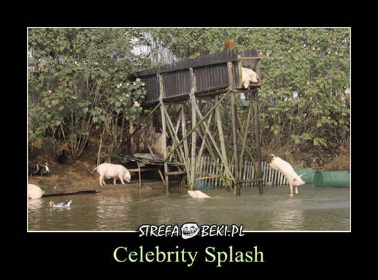 Celebrity Splash