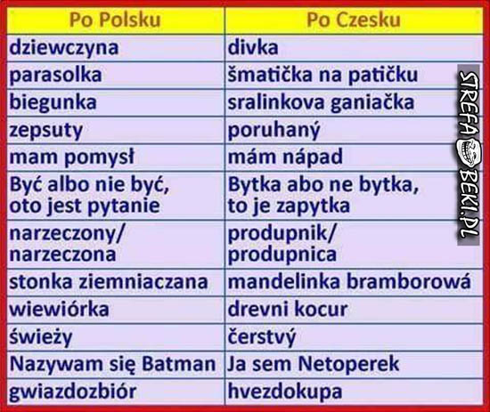 Język czeski zawsze śmieszy