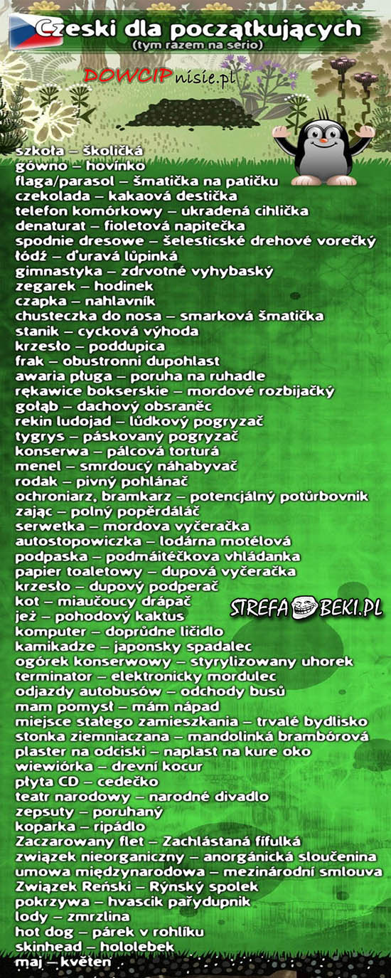 Język czeski dla początkujących