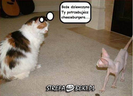 Boże, dziewczyno Ty potrzebujesz cheeseburgera...