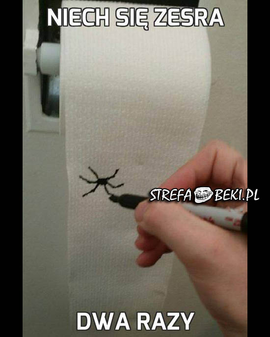 Pająk na papierze toaletowym