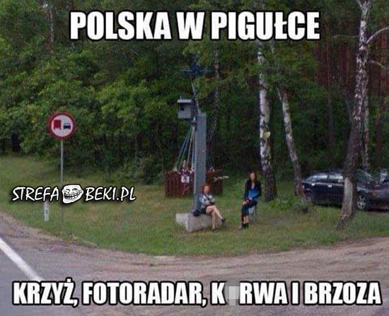 Polska w pigułce