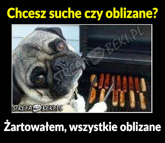 Suche czy oblizane?