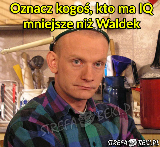 IQ Waldzia