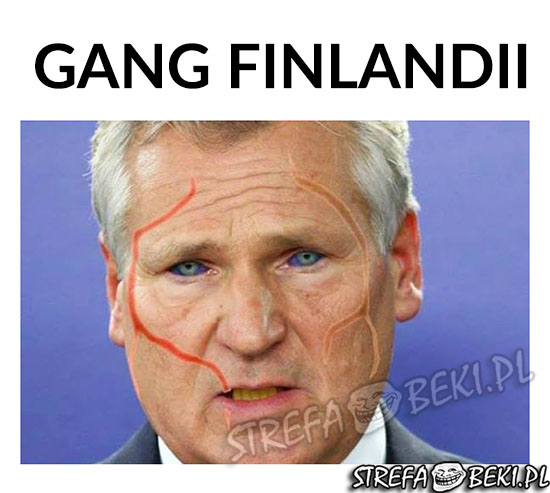 GANG FINLANDII