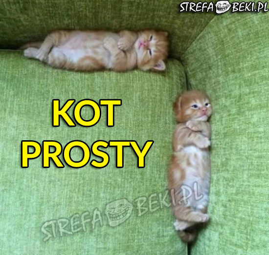 Kot prosty