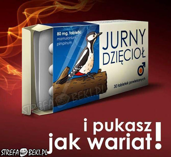 Jurny dzięcioł