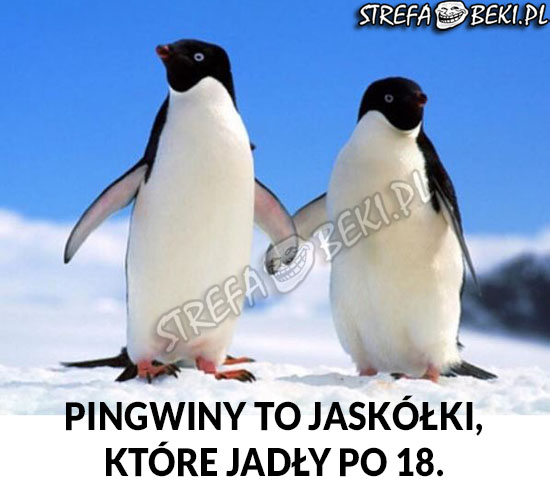 Pingwiny to...