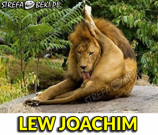 LEW JOACHIM