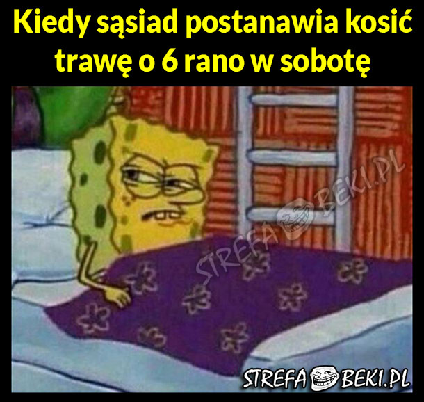 Kiedy sąsiad kosi trawę...