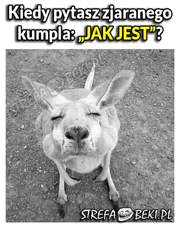 JAK JEST?