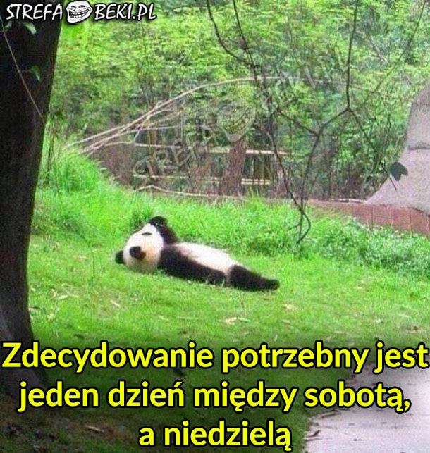 Jeden dzień