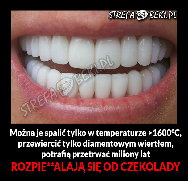 Wszystko o zębach