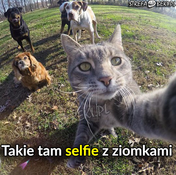 Selfie z ziomkami