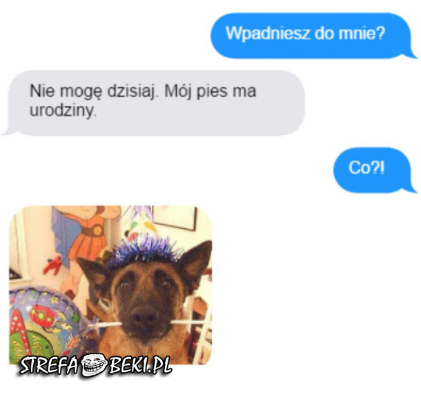 Urodziny psa 