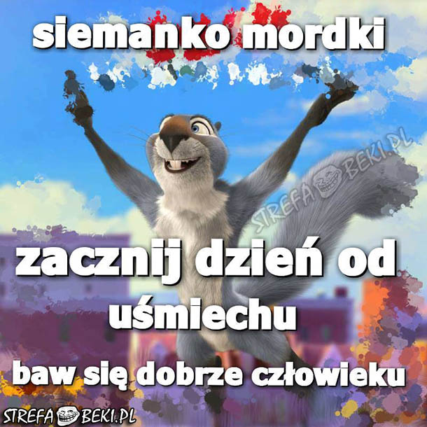 Siemanko mordki!