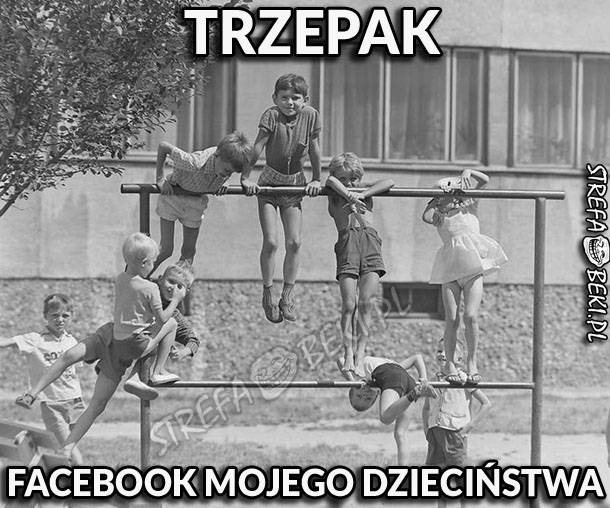 Trzepak