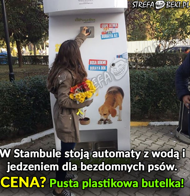 Automaty z jedzeniem dla bezdomnych psów