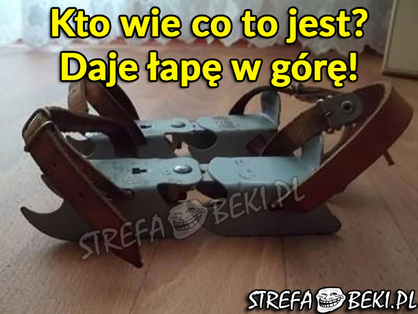 Kto wie co to jest?