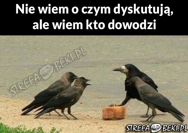 Wiem kto dowodzi