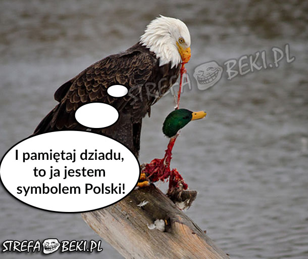 Symbol Polski