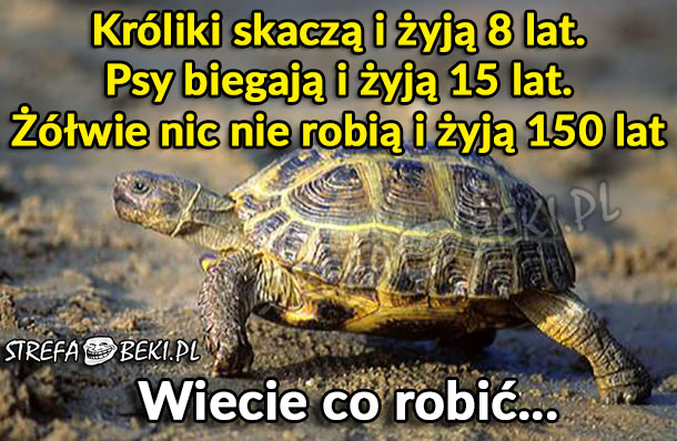 Wiecie co robić...