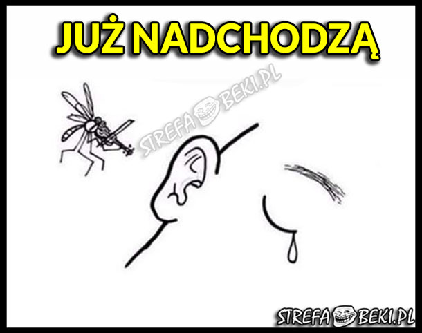 NADCHODZĄ!!!