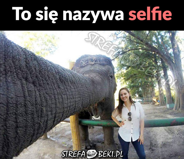 To się nazywa selfie 