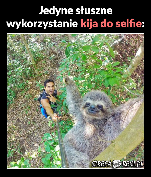 Jedyne słuszne wykorzystanie kija do selfie