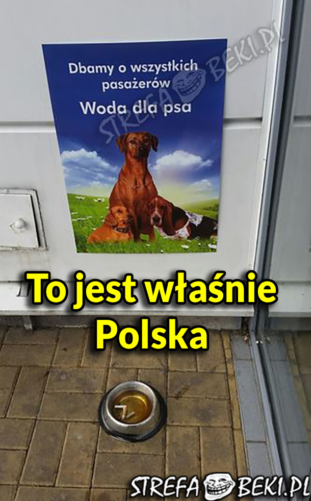 Tak jest w Polsce