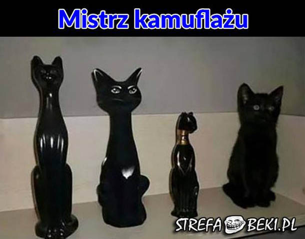 Mistrz kamuflażu