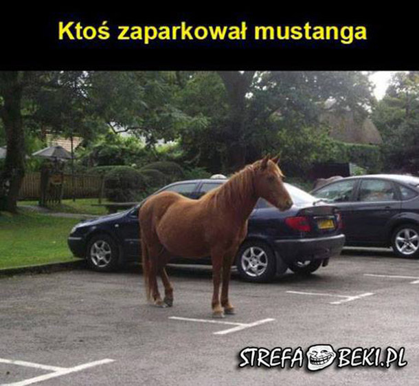 Ktoś zaparkował Mustanga :D