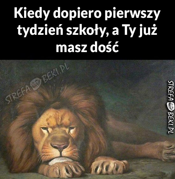 Kiedy masz już dość...