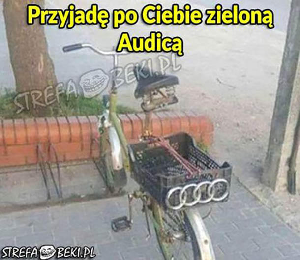 Zielona Audica 