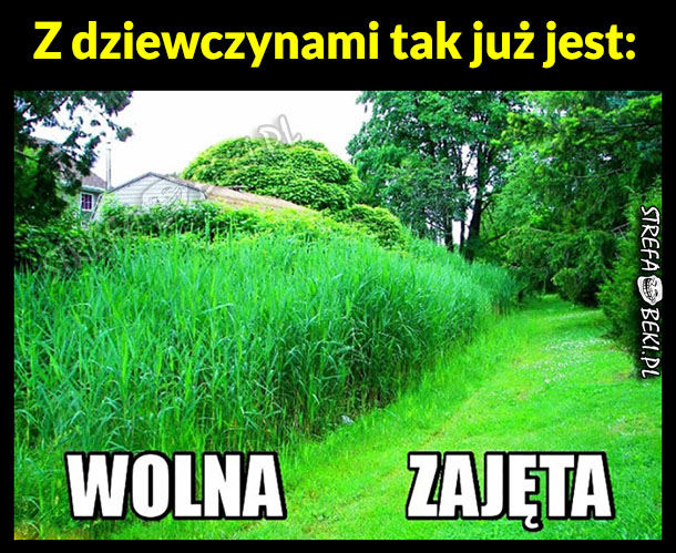 Dziewczyny takie są...