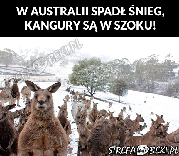 W Australii spadł śnieg!