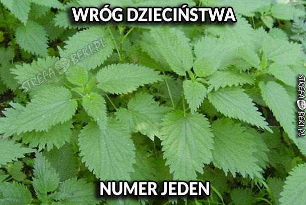 ZŁO DZIECIŃSTWA