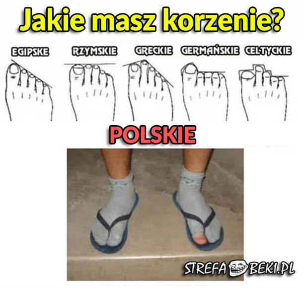 Polskie korzenie