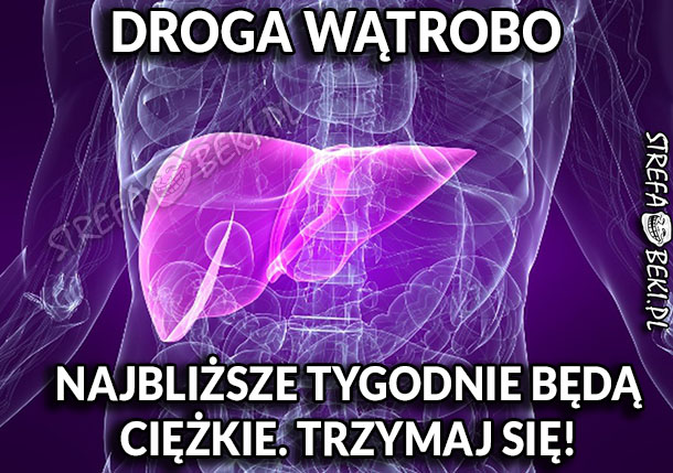 DROGA WĄTROBO