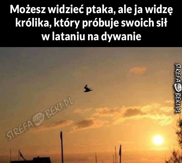 A Ty co widzisz?