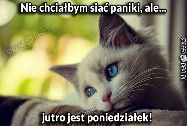 Jutro poniedziałek :/