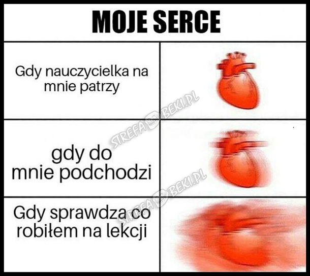 MOJE SERCE