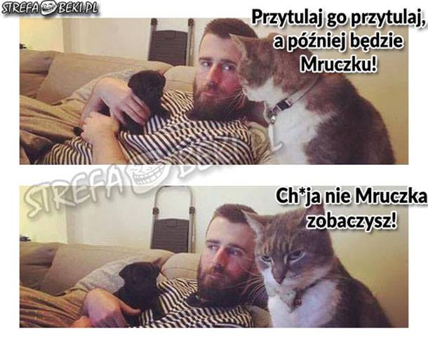 Przytulaj go przytulaj