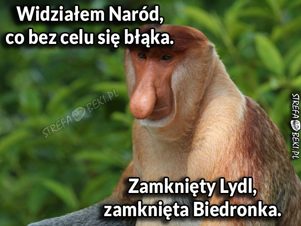 Kiedy sklepy zamknięte