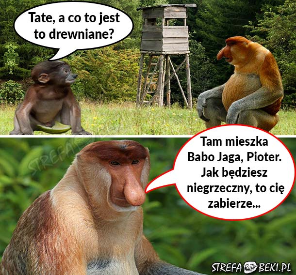 Co to jest? :D