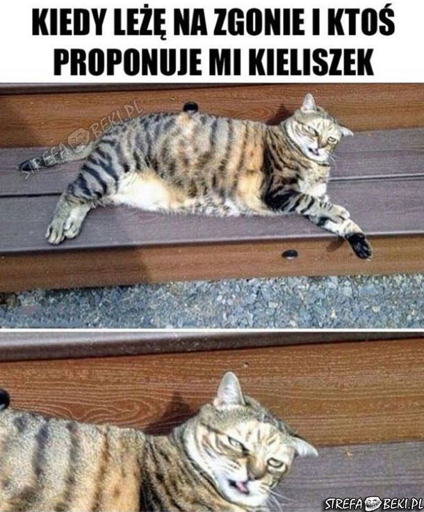 Też tak masz?