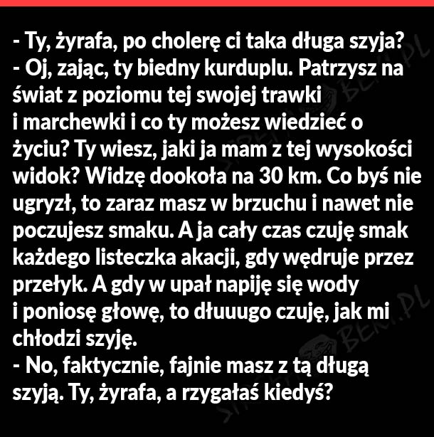 Żyrafa i zając 