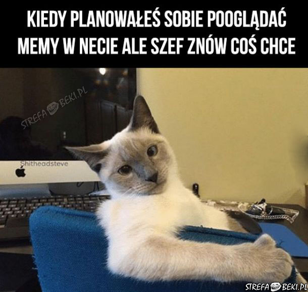 Też tak masz?