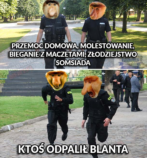 Policja w akcji :D