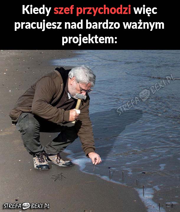 Pracuję 